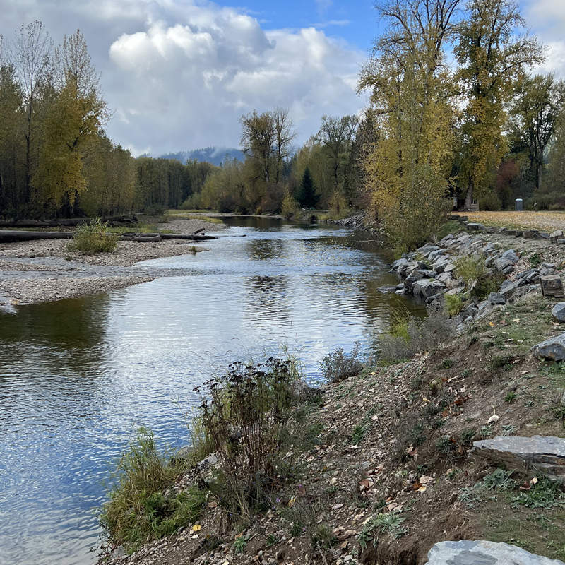 Hook's Landing campground 19