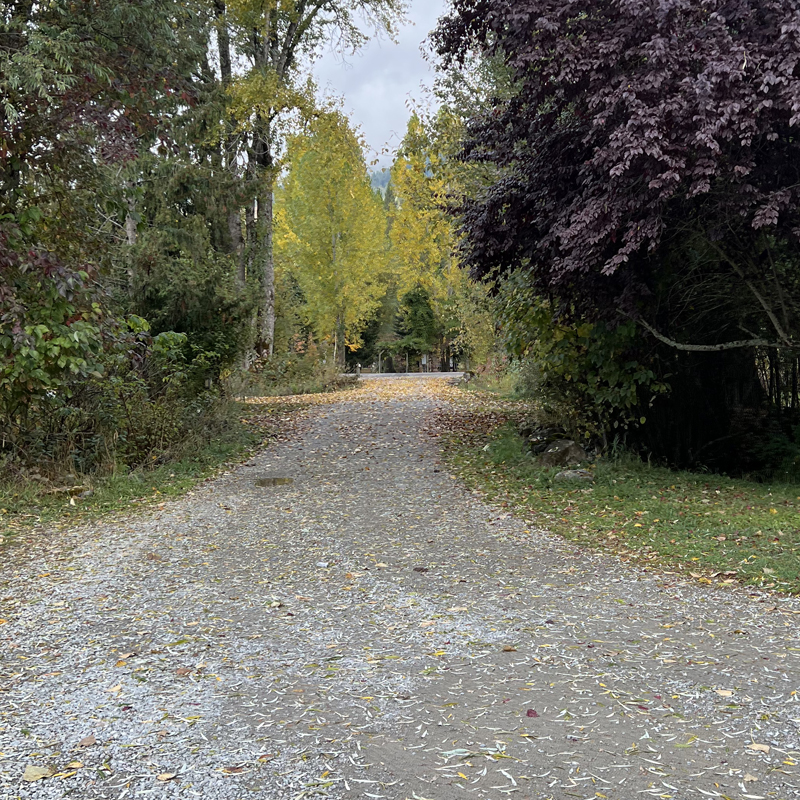 Hook's Landing campground 23