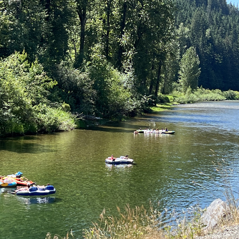 Hook's Landing campground 5